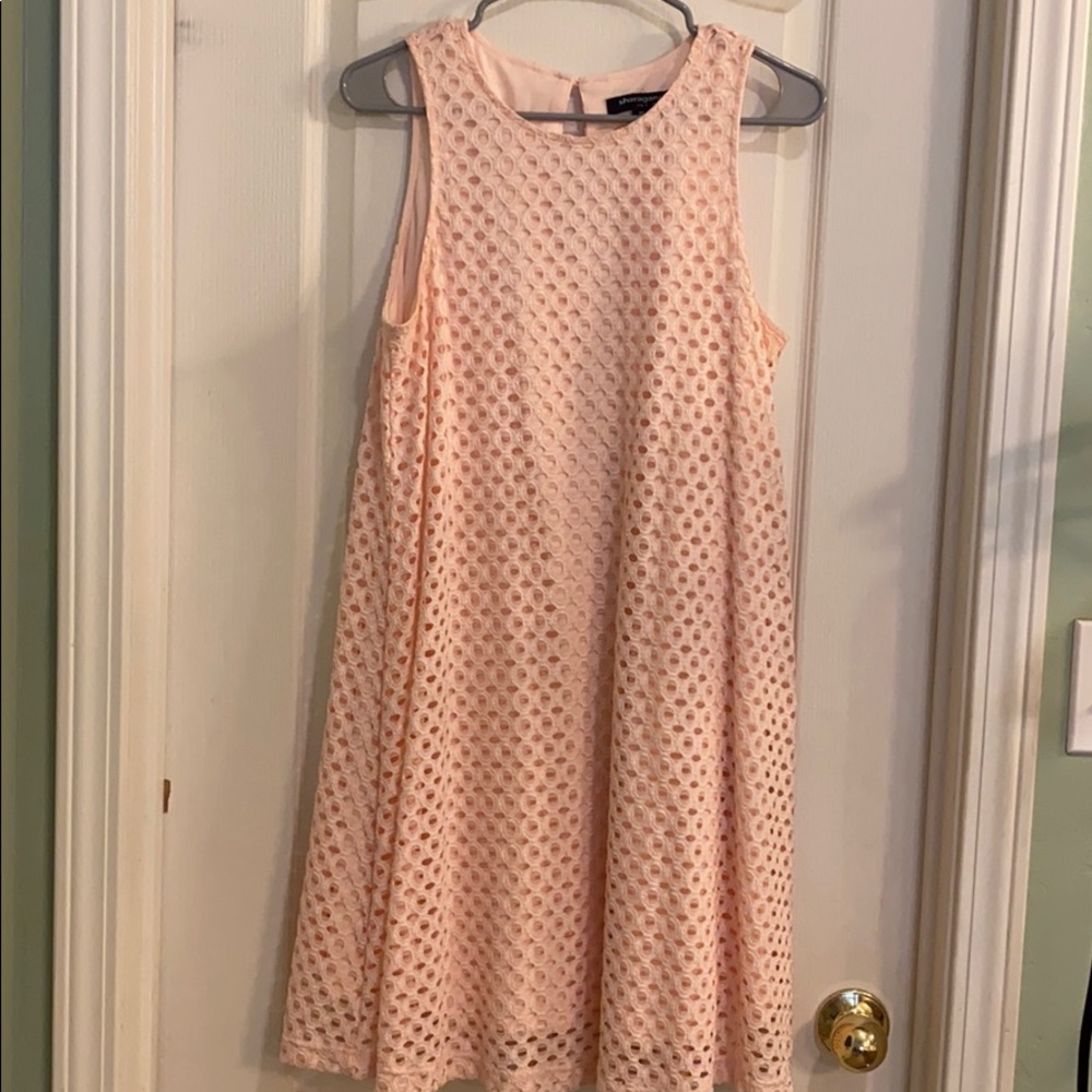 Baby Pink Swing Dress